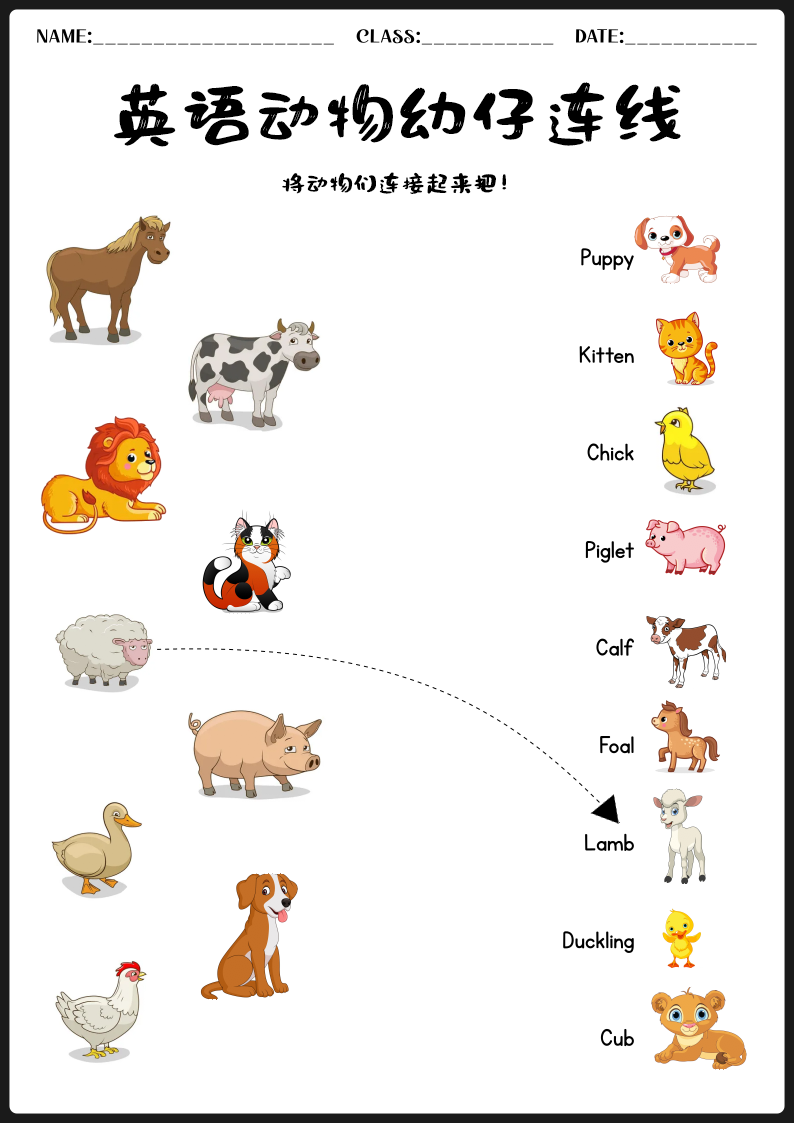 幼儿英语动物幼崽连线练习|BABY ANIMALS 可打印 PDF