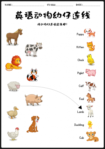 幼儿英语动物幼崽连线练习|BABY ANIMALS 可打印 PDF