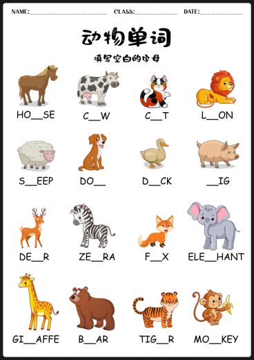 动物单词填空练习|小学英语启蒙可打印 PDF