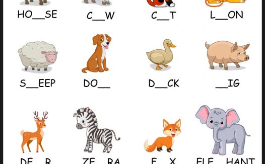 动物单词填空练习｜小学英语启蒙可打印 PDF