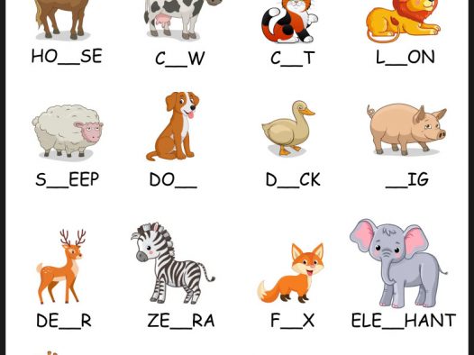 动物单词填空练习｜小学英语启蒙可打印 PDF