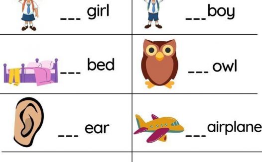 a和an的用法练习｜不定冠词 小学英语语法可打印 PDF