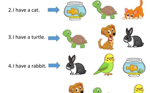 宠物主题英语选择题｜I have a pet 幼儿英语启蒙可打印练习