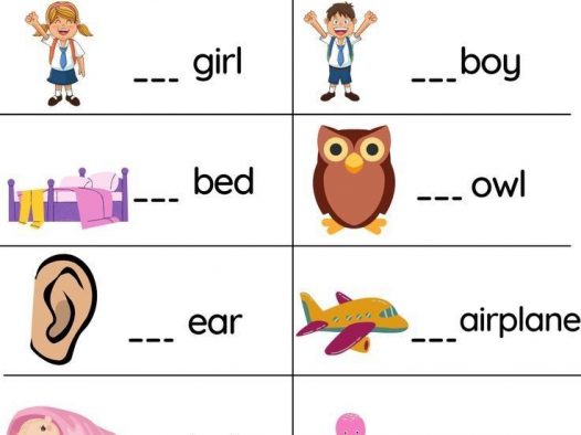 a和an的用法练习｜不定冠词 小学英语语法可打印 PDF