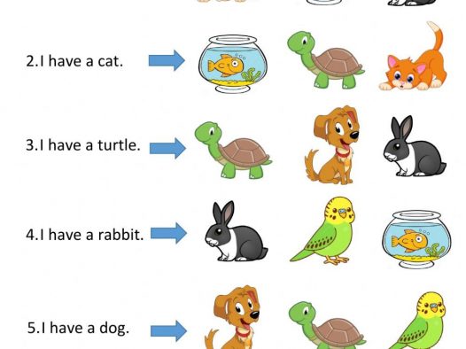 宠物主题英语选择题｜I have a pet 幼儿英语启蒙可打印练习