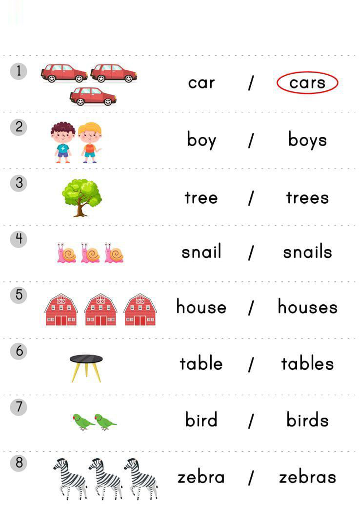 名词单复数基础练习｜小学英语启蒙可打印 PDF
